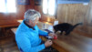 becs_bosson_0011
