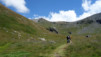 becs_bosson_15_008