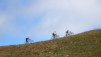 becs_bosson_15_012