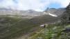 becs_bosson_15_037