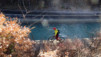 bisse_varen_15_007