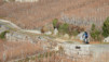 bisse_varen_15_009