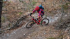 bisse_varen_15_017