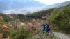 bisse_varen_15_018
