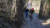 bisse_varen_16_004