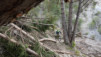 bisse_varen_18_005