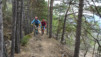 bisse_varen_18_008