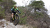 bisse_varen_18_010