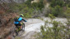 bisse_varen_18_013