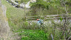 bisse_varen_18_021