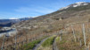 bisse_varen_20_005
