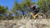 bisse_varen_20_012
