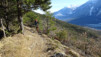 bisse_varen_20_013