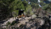 bisse_varen_20_014