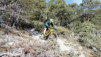 bisse_varen_20_017