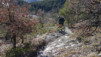 bisse_varen_20_018