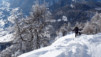 blisiers_14_15_007