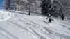 blisiers_14_15_012