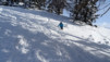 blisiers_14_15_017
