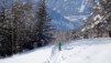 blisiers_14_15_019