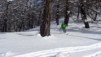 blisiers_14_15_020