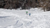 blisiers_14_15_023