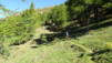 bolivian_19_004