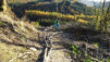 bouillon_16_019