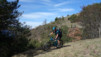 brentjong_15_005