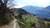 brentjong_15_007