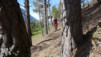 brentjong_15_008