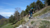 brentjong_15_009