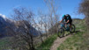 brentjong_15_010