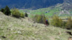 brentjong_15_012