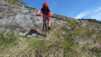 brentjong_15_015