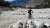 brentjong_15_018