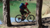 brentjong_15_019