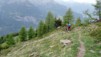 cabane_tourche_017