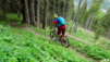 cabane_tourche_021