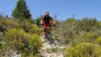 castell_021