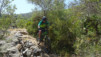 castell_026