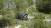 castell_029