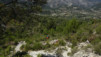 castell_030