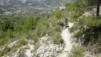 castell_031