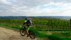castello_di_meleto_003