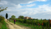 castello_di_meleto_007