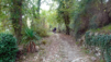 castello_di_meleto_059