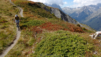 catogne_21_014