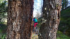 chaligne_026