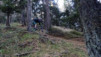 chaligne_031